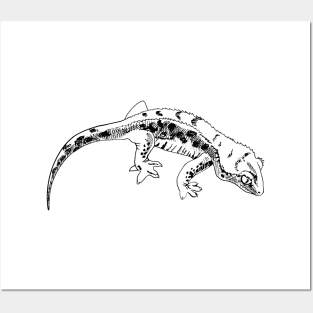 gecko Posters and Art